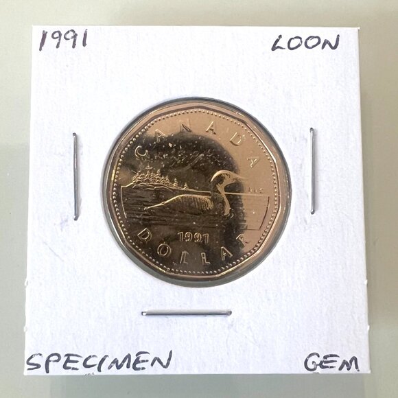 1991, 1992, 1993 and 1994 Canada Specimen Finish $1 Loonies! - Picture 3 of 10